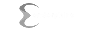 Endorphina logo
