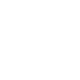 Platin Gaming logo