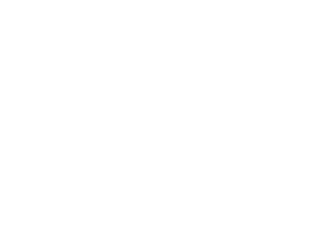 Vibra Gaming RGS logo