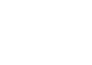 Vibra Gaming RGS